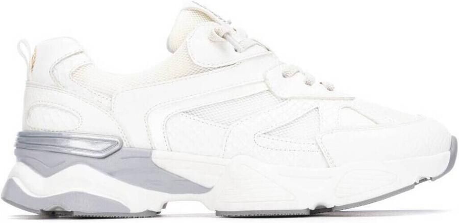 Xti 144653 Trainer WIT