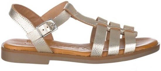 Zapp Sandalen MANDEN 4549