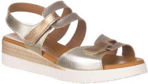Zapp Sandalen MANDEN 681