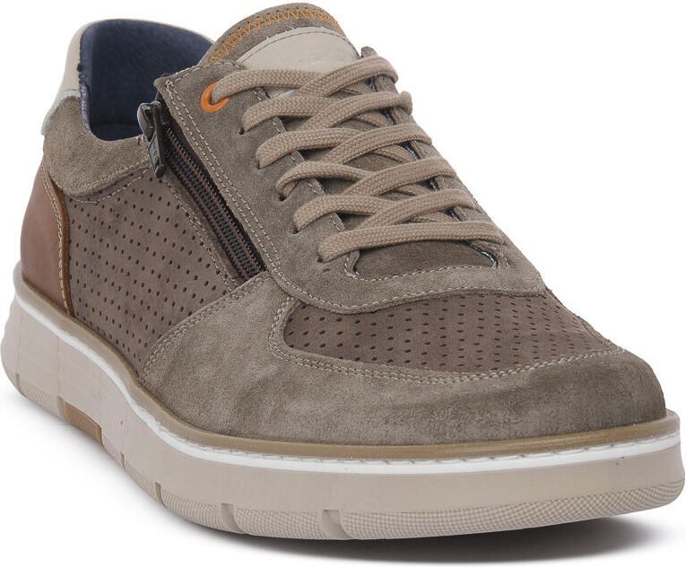 ZEN Lage Sneakers TAUPE RINGO