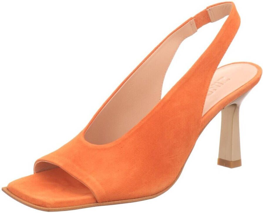 Zinda Pumps