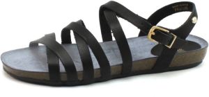 Fred de la Bretoniere 170010063 Zwart FRE36