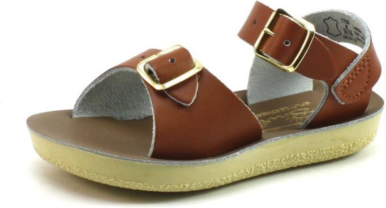 Salt Water Sandals Surfer Bruin SAL08