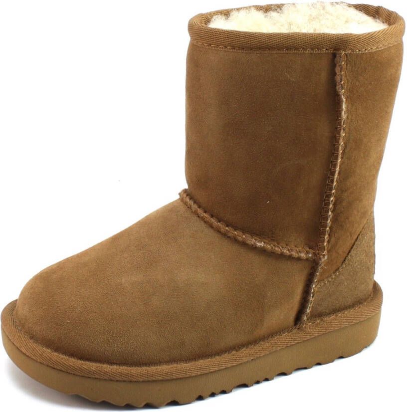 uggs 29