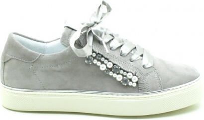 Alpe Veterschoenen