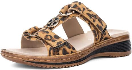 Ara 1229003 hawaii leo 3033