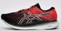 ASICS EvoRide 2 Dames - Veelkleurig