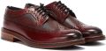 Ben Sherman Archie Brogue herenschoenen bordeauxrood - Bordeauxrood