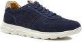 Berkelmans Sears - Blauw