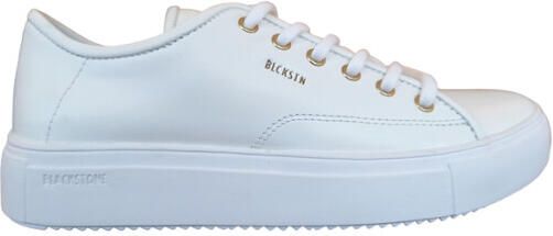 Blackstone Bl234