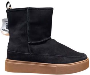 Blackstone Cl239