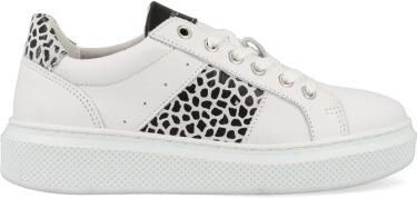 Bullboxer Sneakers alg001e5l wanikb10