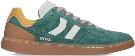 Coolway Goal