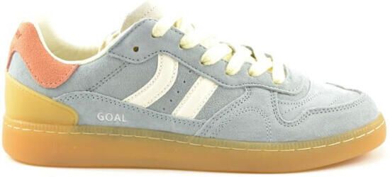 Coolway Goal
