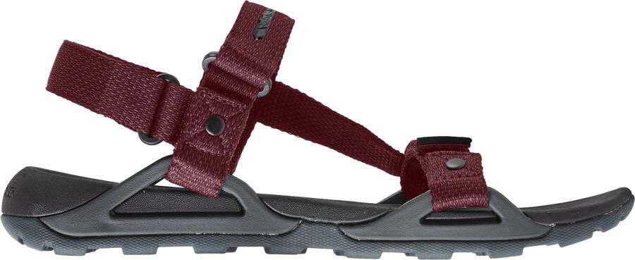 Craghoppers Heren Locke Sandalen (Donkergrijs Pompees Rood)