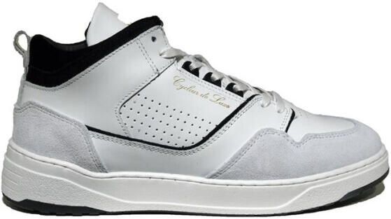 Cycleur de Luxe Breakaway mid
