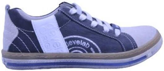Develab 2989