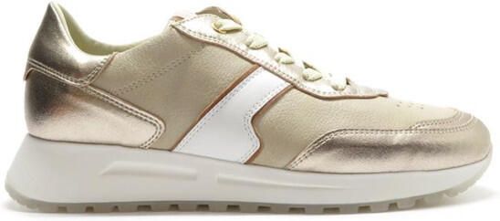 DL Sport 6203