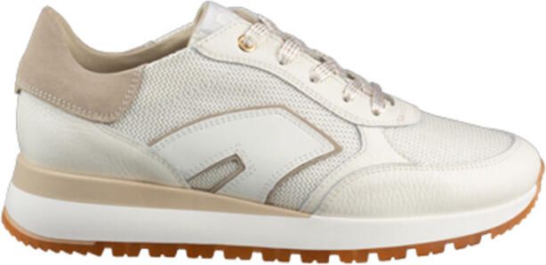 DL Sport 6225