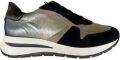 DL Sport 6338 versione 03 - Brons