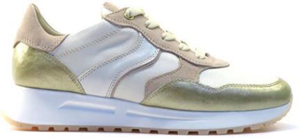 DL Sport 6527