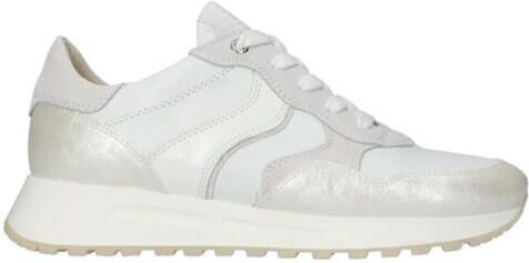 DL Sport 65277