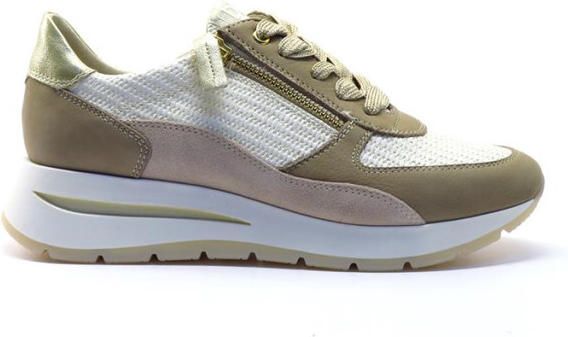DL Sport 6561