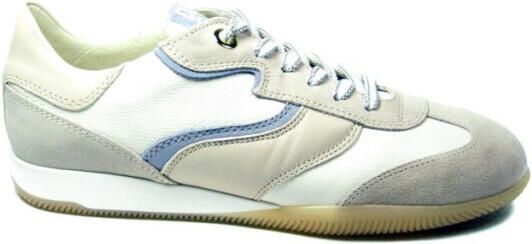 DL Sport 6572