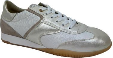 DL Sport 6946