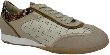 DL Sport 6947