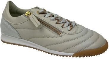 DL Sport 6953