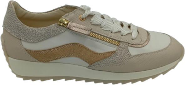 DL Sport 6988 vers 01
