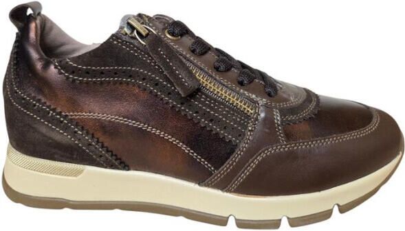 DL Sport 7116 vers 02