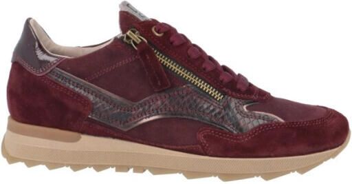 DL Sport 7140 vers 04