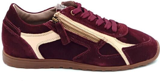 DL Sport 7162 vers 03