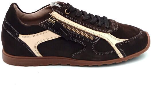 DL Sport 7162 vers 0d