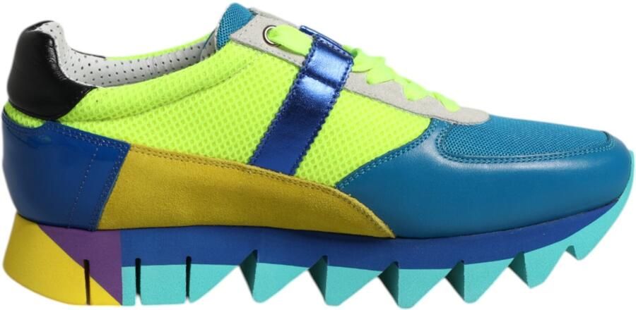 Dolce & Gabbana Multicolor Leren Lage Sneakers voor Heren