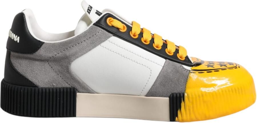 Dolce & Gabbana Multikleuren Leren DNA Lage Sneakers Schoenen