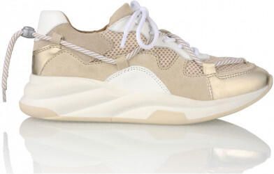 DWRS Label B10070-01 maryland white beige