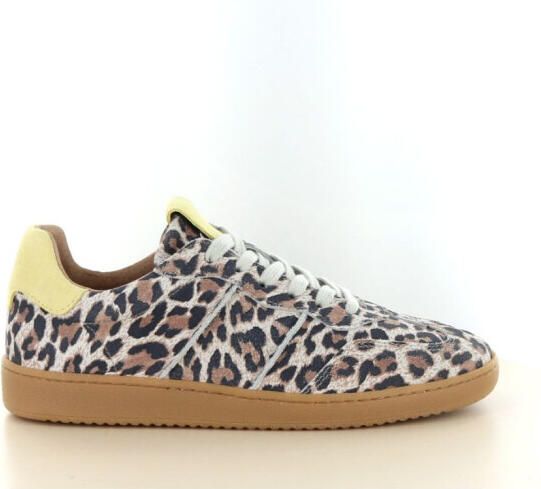 DWRS Label Poona leopard