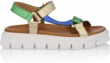 DWRS Label Samos s2365-07 green blue 4400