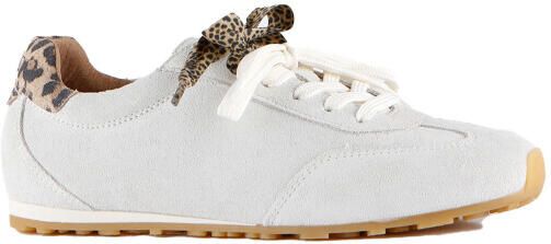 DWRS Label Sava leopard