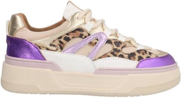 DWRS Label Walton leopard