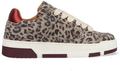 DWRS Label Whitby leopard j6972-02-4568 bordeaux grijs