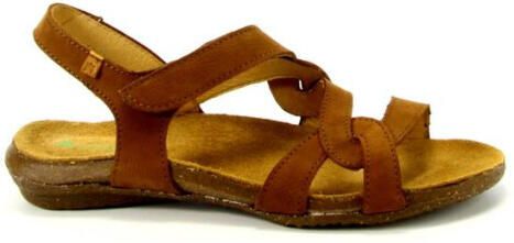 El Naturalista N5079 - Foto 1