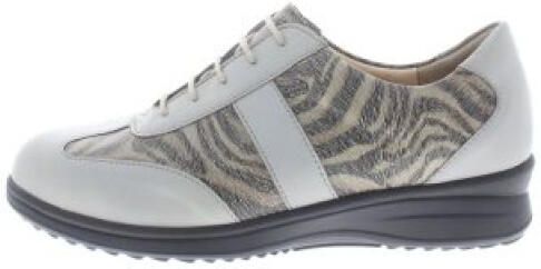 FinnComfort Lazio