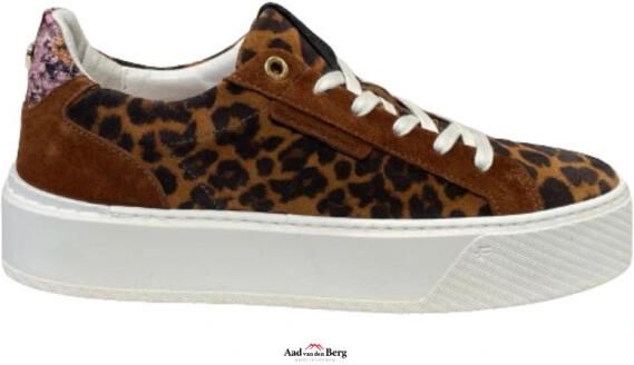 Floris van Bommel Damesschoenen sneakers