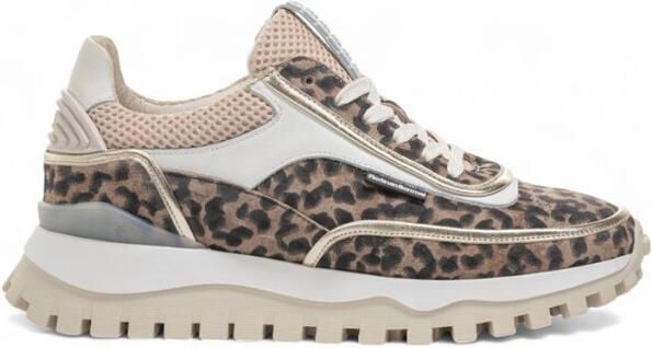 Floris van Bommel Sneakers sfw-10131 grommi