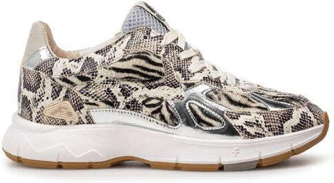 Floris van Bommel Sneakers sfw-10167-19-01
