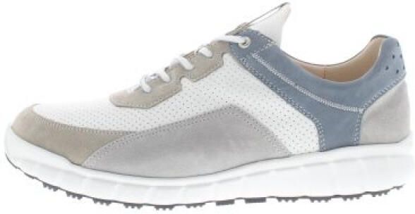 Ganter Evo herren h